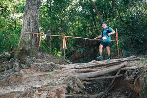 BIB: 
                            <button type="button" onclick="openModal(27303699)" class="btn btn-primary btn-sm float-right btn-popup" data-toggle="modal" data-target=".modal-high-quality">
                        <i class="fas fa-shopping-cart"></i> Add to Cart
                    </button>
                                            <button type="button" onclick="isThisMe(27303699, true)" class="btn btn-success btn-sm float-right btn-popup btn-isme hidden" data-toggle="tooltip" data-placement="bottom" title="นี่คือรูปของคุณใช่ไหม คลิกที่นี่เพื่อเอาเข้าอัลบั้ม">
                        <i class="fas fa-plus"></i> Add to album
                    </button>
                    <button type="button" onclick="isThisMe(27303699, false)" class="btn btn-warning btn-sm float-right btn-popup btn-isnotme hidden">
                        <i class="fas fa-ban"></i> Remove from album
                    </button>